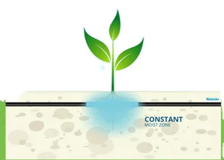 Moistube irrigation slow release, sub-surface irrigation system