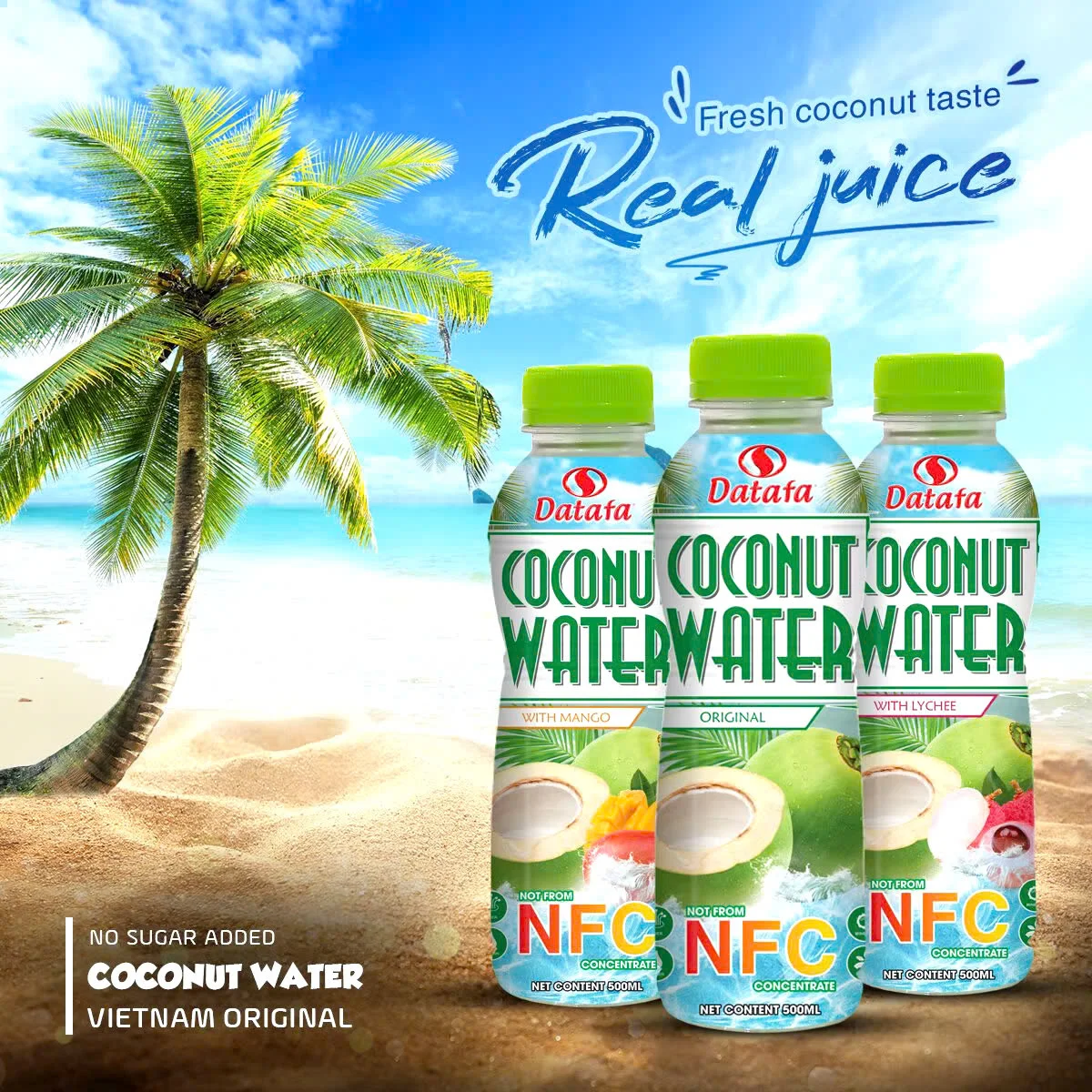 Coconut Drink Reasonable Price Coconut Water Drink Juice Concentrate Oem Service Carton Box Vietnam Product Manufacturer