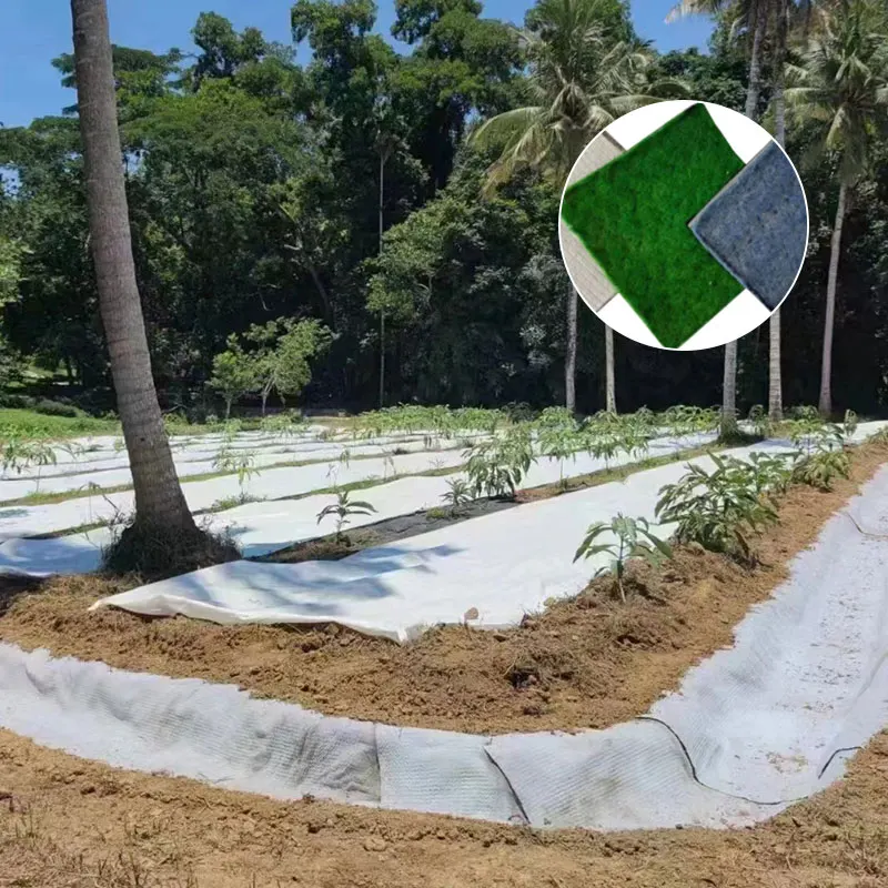 Geosynthetic Concrete Composite Mat GCCM Cement Blanket for Ground stabilisation in dam and other construction