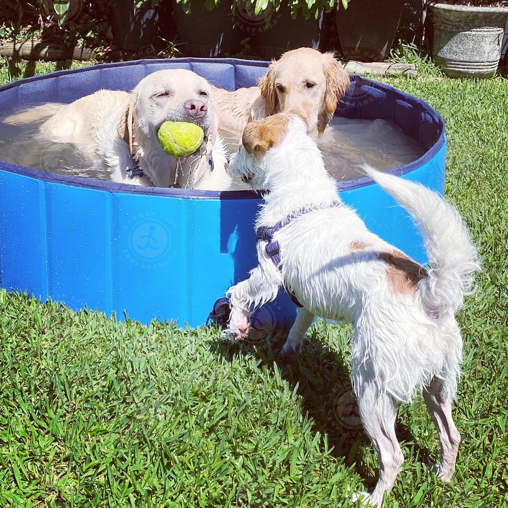 Factory Price Round Pet Dog  Cleaning Pool Foldable Dog Cat Swimming Pool Garden Swimming Pools For Dog