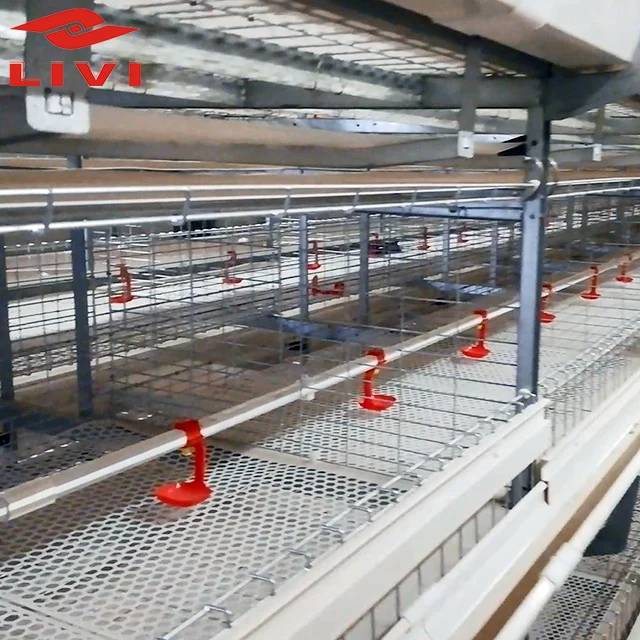 New Design Reasonable Price Chicken Poultry Farm Broiler Battery Cage for Growing Broiler Chicken Rate Cages