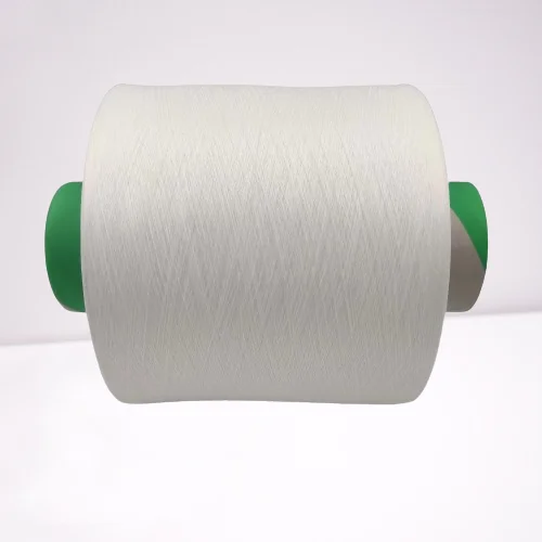 Polyamide  Nylon 6 DTY 22dtex/7F  yarn for socks