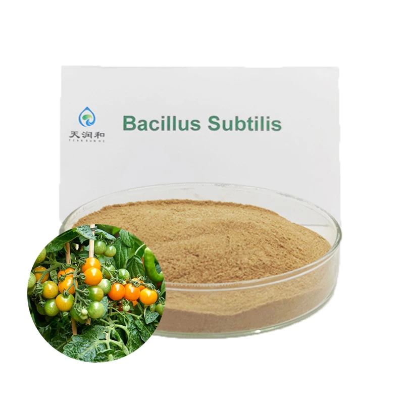 Biological fertilizer mycorrhiza bacillus subtilis