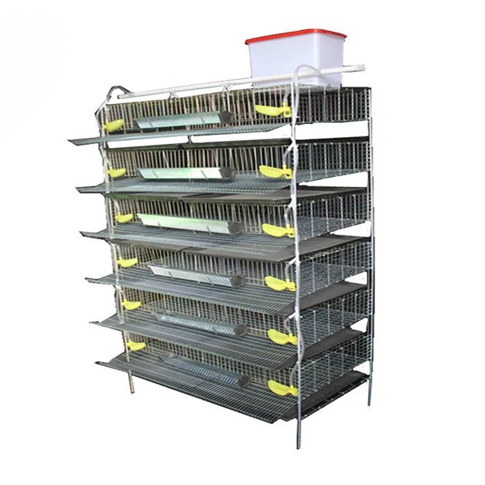 
Automatic quail farm cage New design quail layer cage for quail farming 