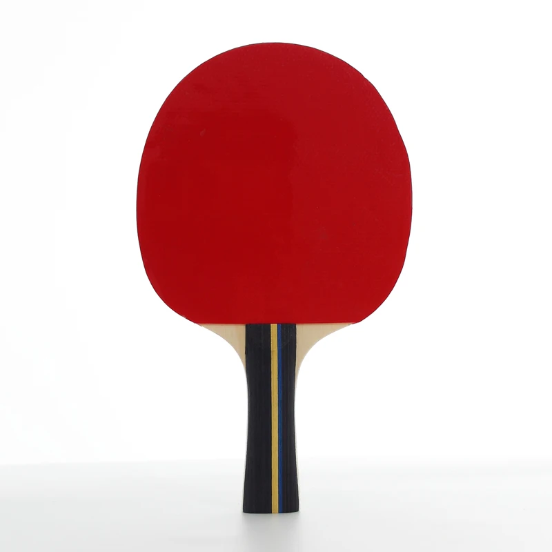China Professional Wood Table Tennis Rackets Dhs Return Board Net & Rubber for Ping Pong Sport Equipment