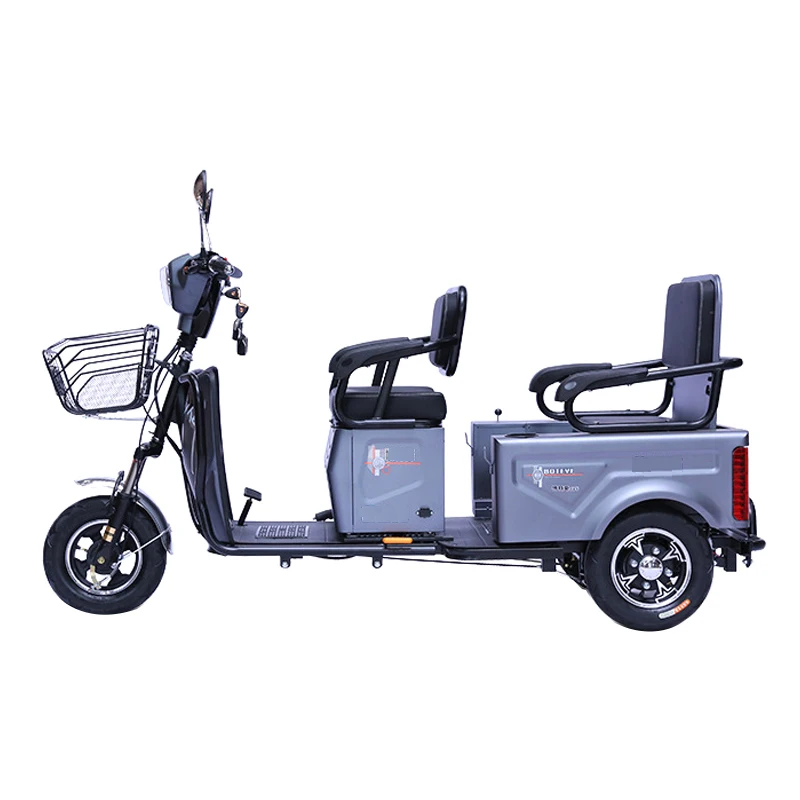 Paige Electric bike battery hybrid bicycle wholesale 750 watt e-bike e 3 wheel drive e-bicycle mini bicicleta electrica ebike