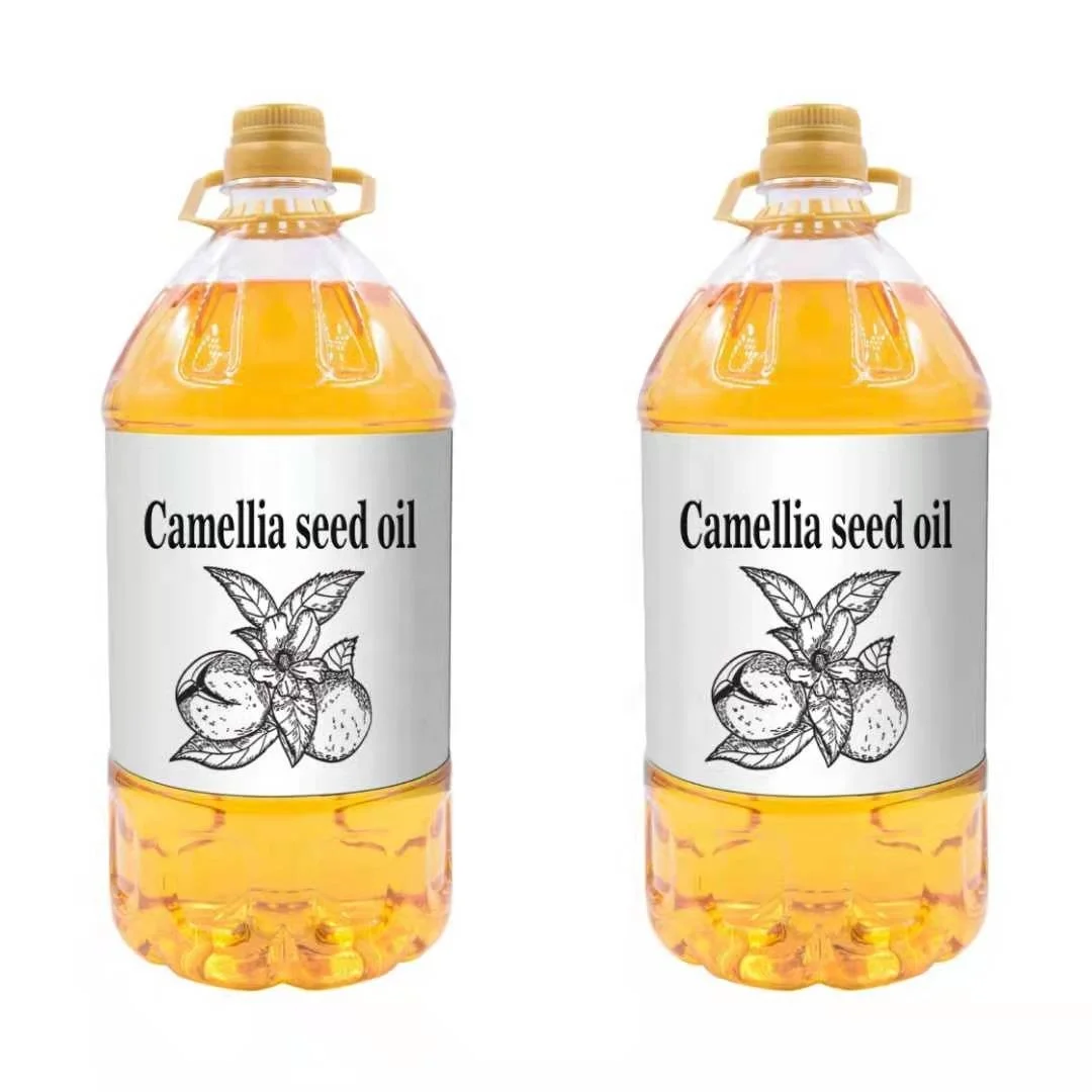 Manufacturer direct supply  hot sales cold pressed organic certified 100% pure edible camellia oil bulk