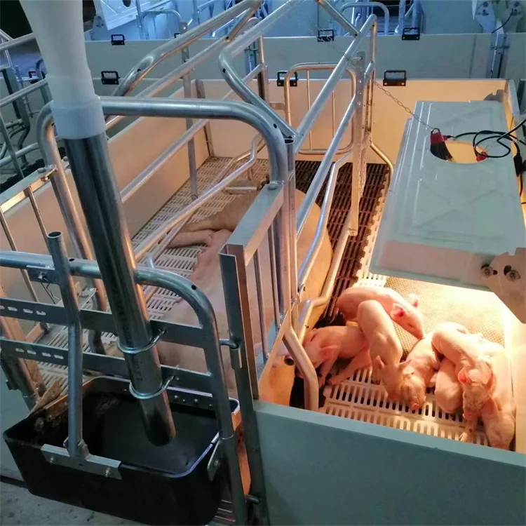 High-Quality Farm Raising Equipment Cast Pen Sow Farrowing Crate Pig Sow Cages