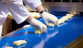 High Quality Food Anti bacterial conveyor belt Sanitary Blue PU belt conveyor