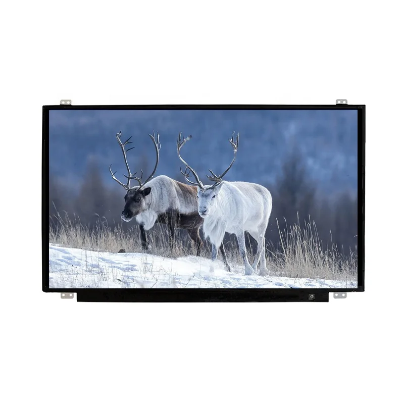 10.1 inch TFT LCD Display 10.1inch Small Monitor 1280X800 Portable Screen VGA USB Input for CCTV/Gaming/PC/Raspberry PI