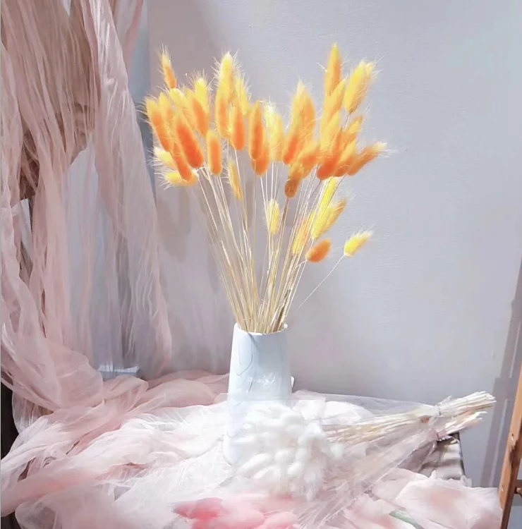 Best Selling Real touch dried flower wedding home decor colorful dry lagurus Ovatus Bunny rabbit tail grass