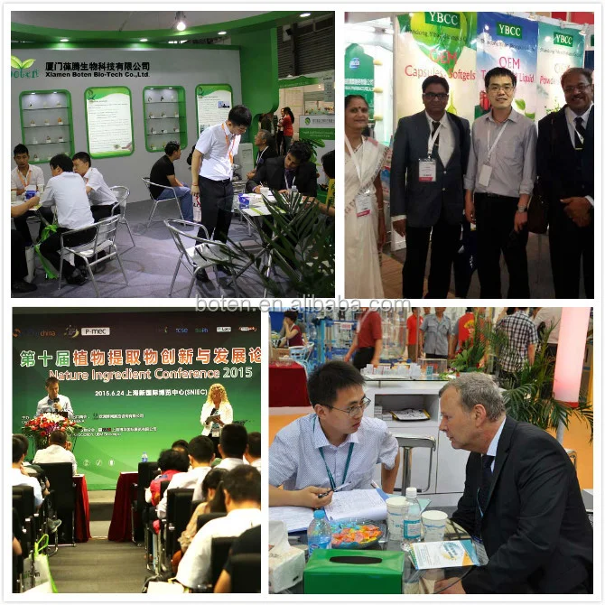 Factory 100% Pure Organic 10% 20% 30% 40% 50% Polysaccharide Ganoderma Lucidum Reishi Mushroom Extract mushroom powder