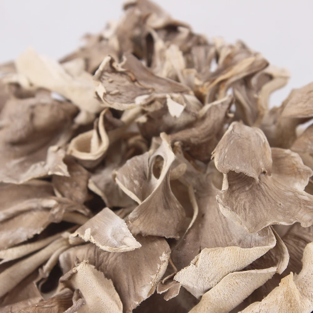Wholesale Price High Quality Maitake Natural Maitake Hui Shu Hua Dried Maitake Mushroom
