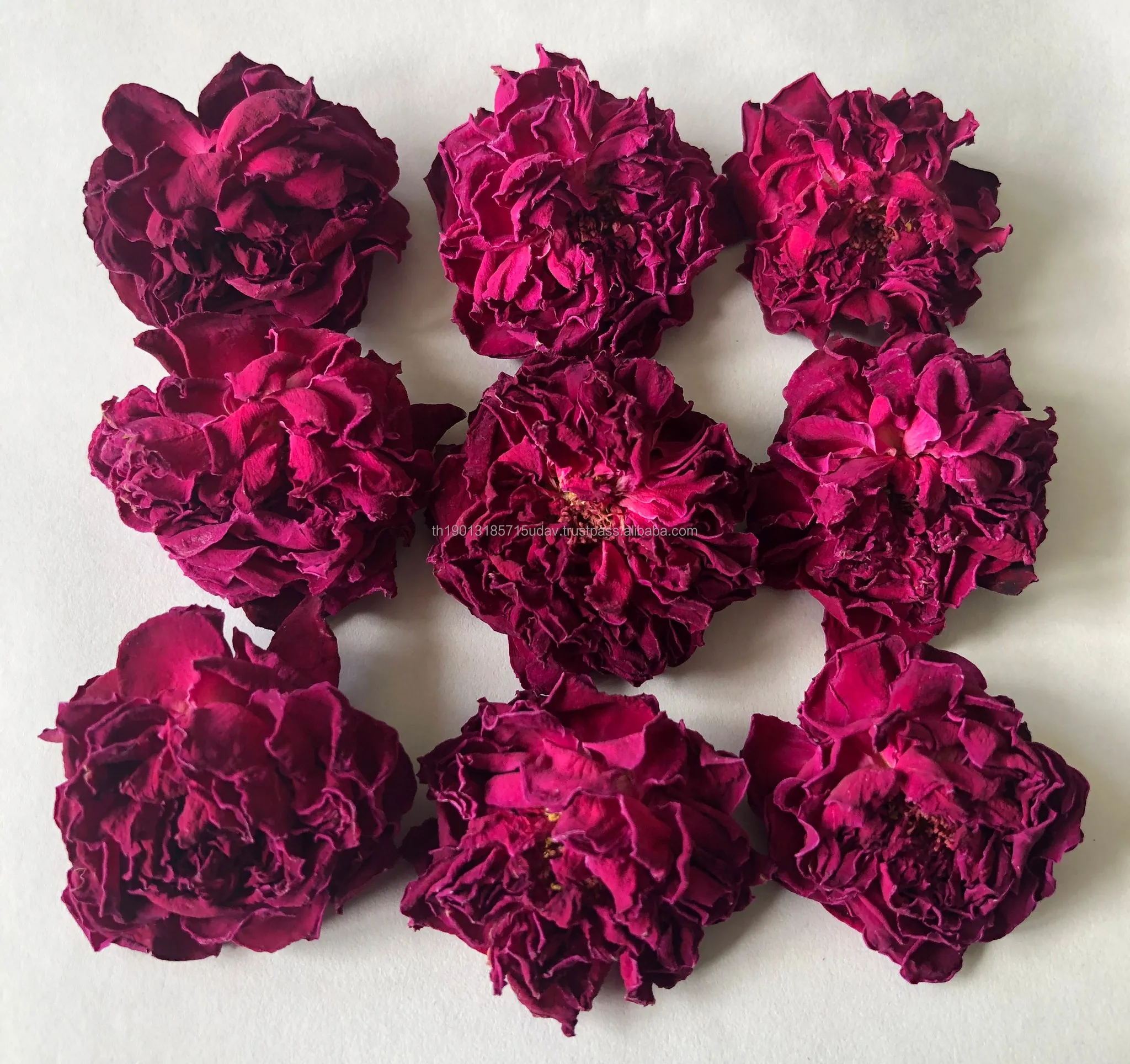 Premium Organic Rose Tea from Thailand Blooming Tea Health Care Relieve Stress Easy Drink