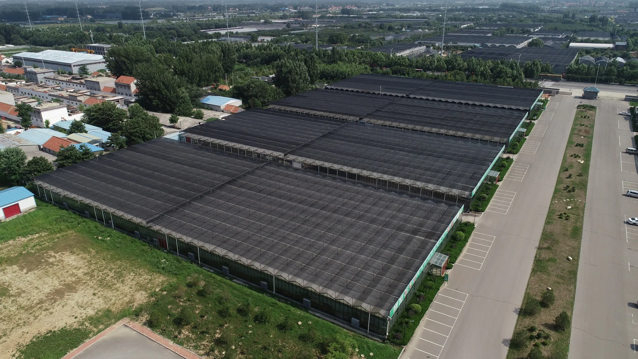 multi span film green house greenhouse structure commercial used greenhouse frames for sale