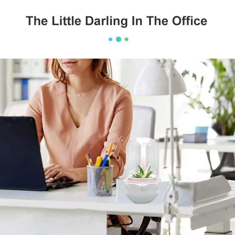 RY  2021 hot sale garden smart flower pot silicone mold fan home garden hydroponics plant growing succulent planting pot