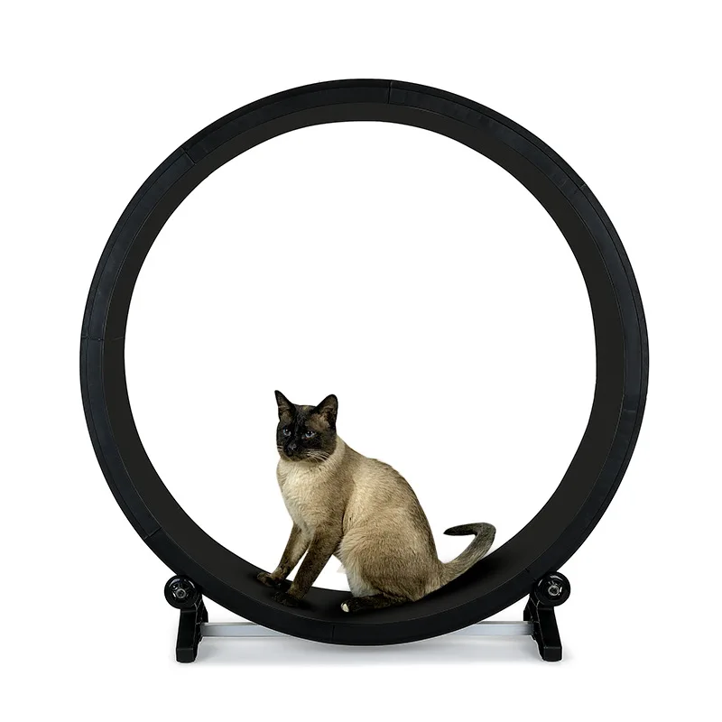 Kingtale High Quality Exercise Treadmill Cat Running Wheel Easy Assemble Large Size Cat Indoor Sustainable Cats for Cars Wheels