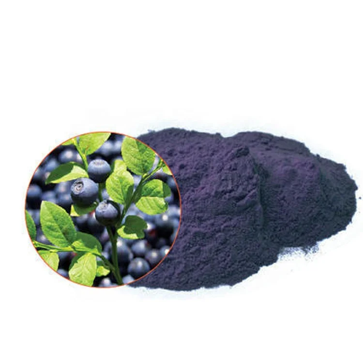 Factory Supply  Natural Extract Certified Fine  Bilberry Pure 100% Bilberry Extract Powder