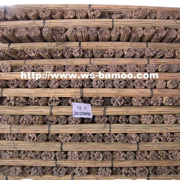 Bamboo cane for garden plant support