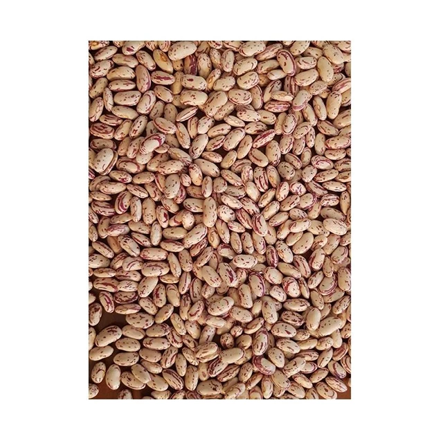 Wholesale Hot Selling Low Price Prermium Quality Healthy Light Speckled Kidney Beans For Sale