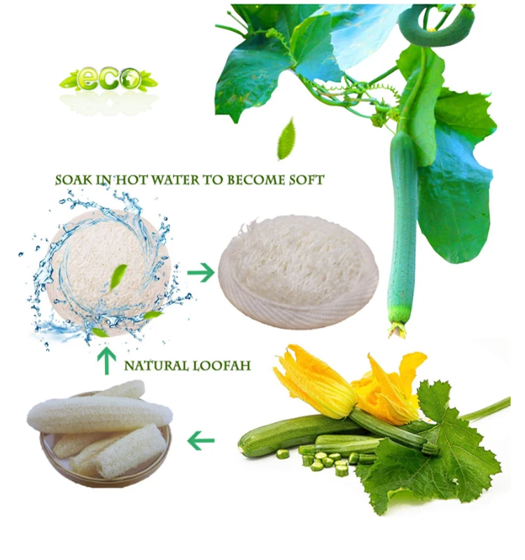  100% Natural Loofah Sponge Manual Facial Cleansing Scrubber Handheld Pad Exfoliating Face Brush