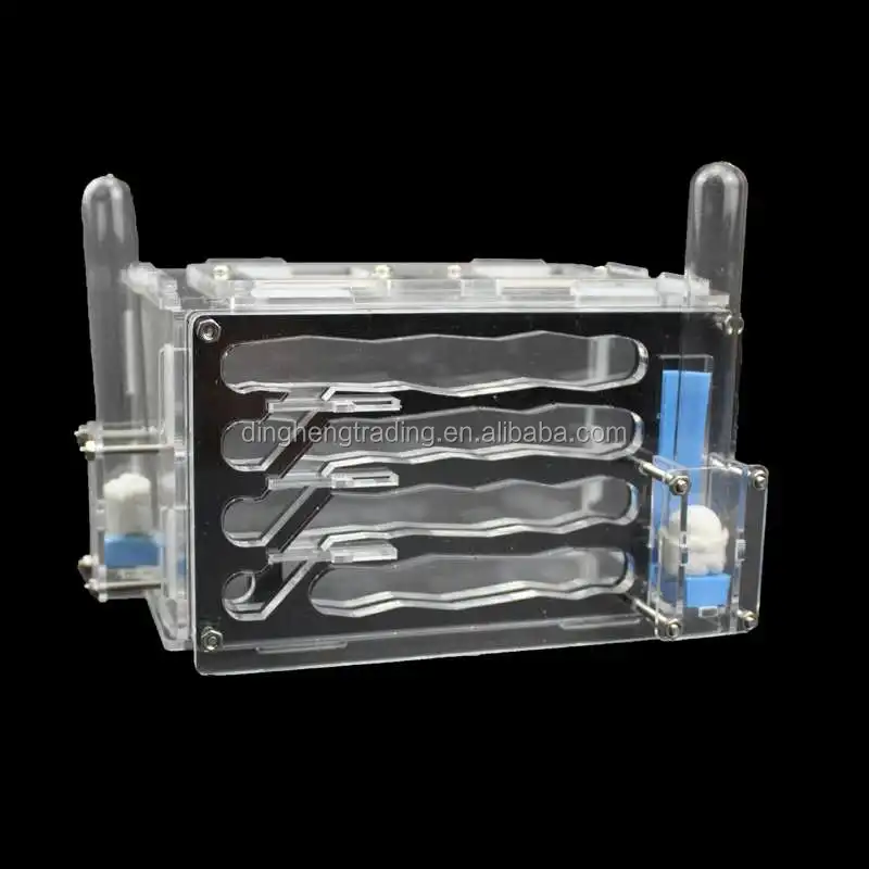 Acrylic Ants ant Farm Insect Cage Feeding Ant Nest with Double Test Tubes Formicarium