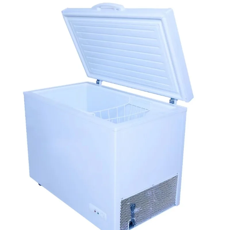New Arrivals 200L Single door12v Dc Freezer Work With Solar Panel And Battery Hot solar freezer, outdoor, off the grid