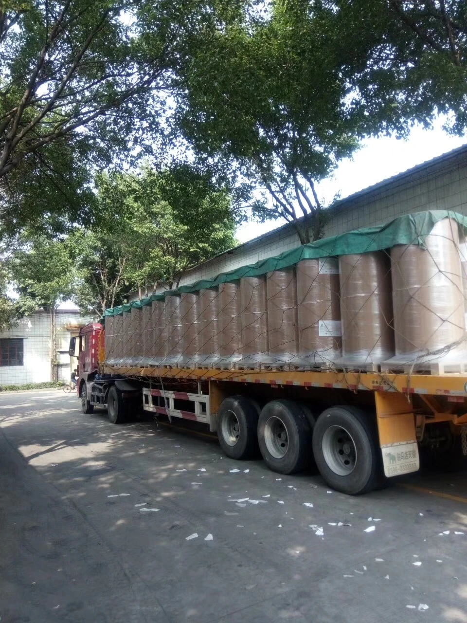 48gsm 55gsm 65gsm 405mm 795mm 875mm Thermal Paper Jumbo Roll