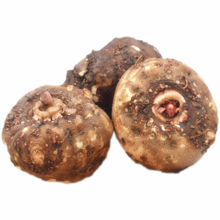 best quality  Indonesian  porang konjac washing slicing mesh belt drying konjac Glucomannan flour grinding machine  line