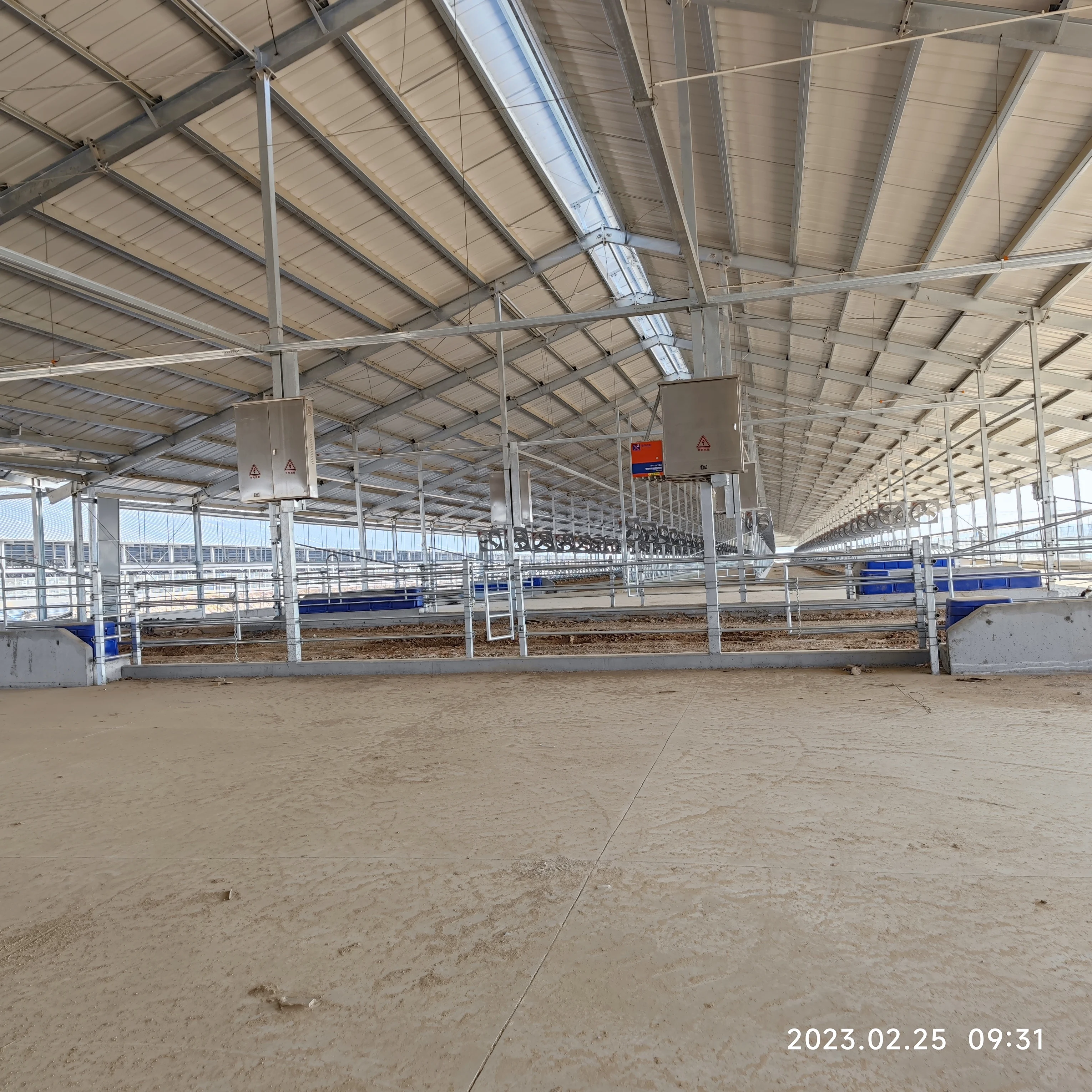 Steel farm house steel structure building for breeding horse goat cow