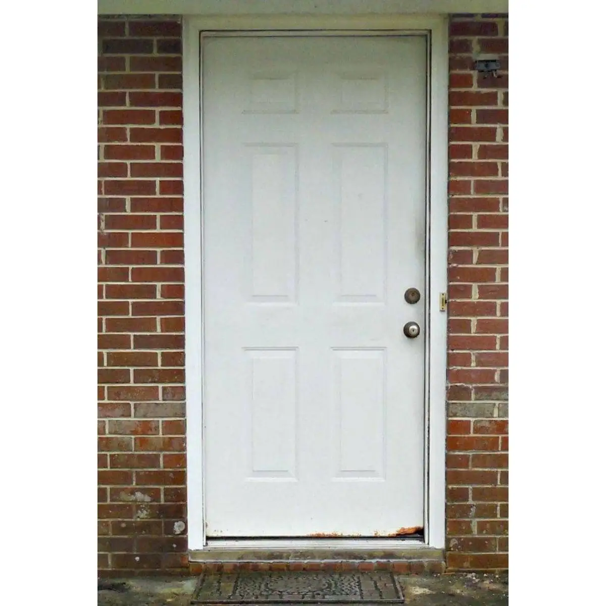 American Pre-machine White Steel 6-panel Molded Metal Doors with Frames for Houses