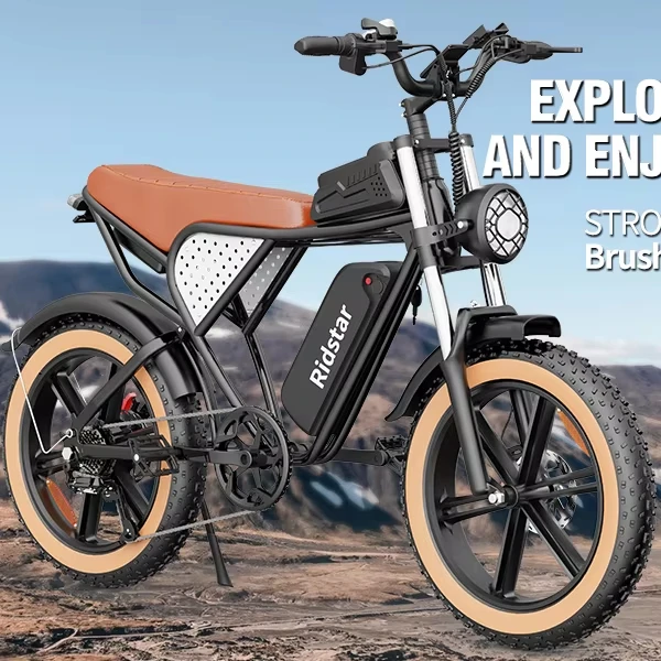 Ridstar Electrically Bike q20 Colour Change Upgraded Version Enduro Ebike Velo Electrique e Ride Pro 1000w Electric Fat Tire