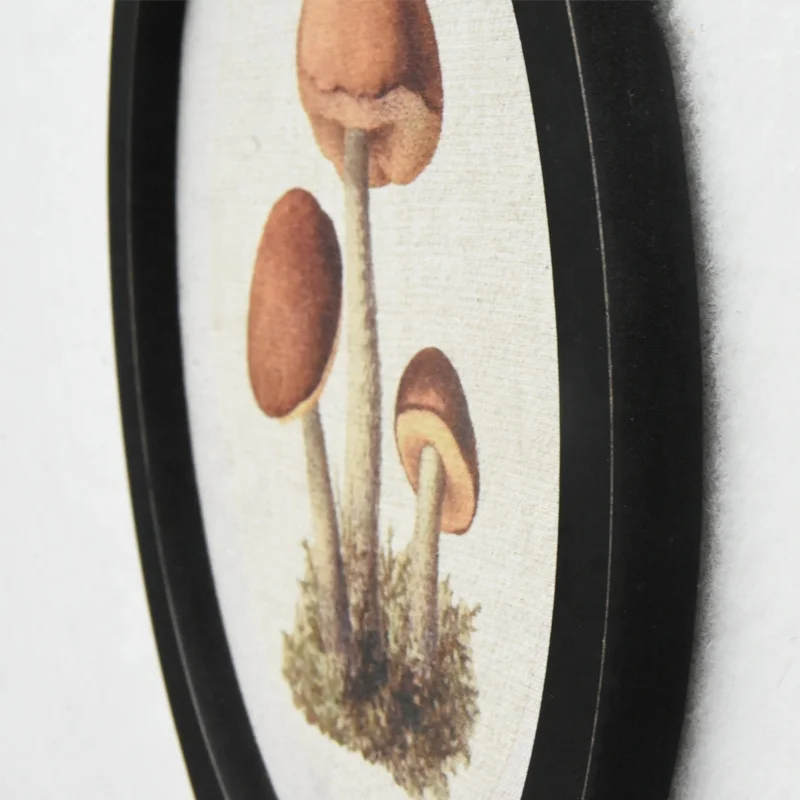 Farmhouse living Room Decor Light luxury Retro Mushroom Painting Wall Art for Home Decor Mushroom Aesthetic Hanging Wall Art