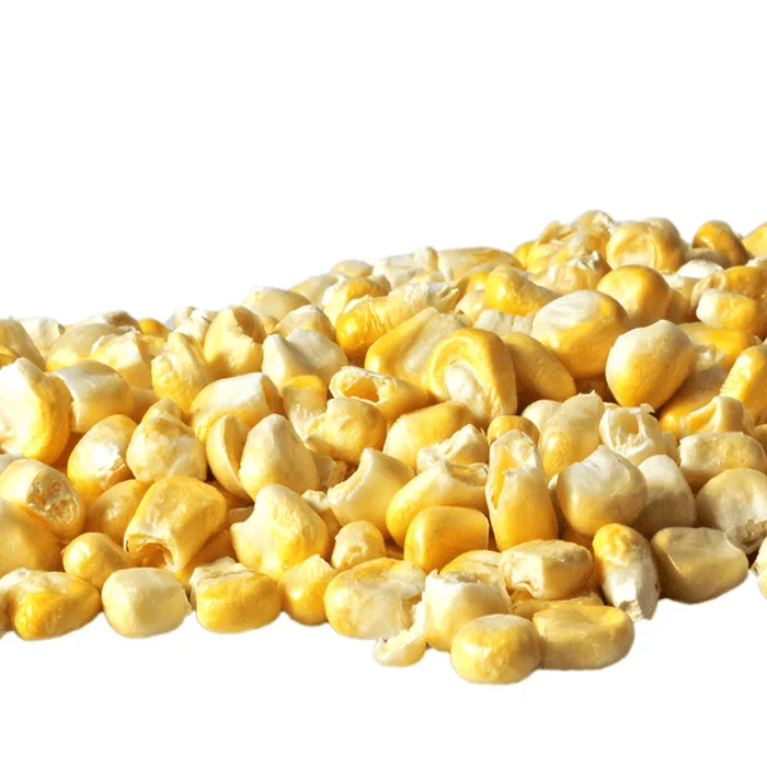 freeze dried Vegetables Dried Yellow Corn for Sale