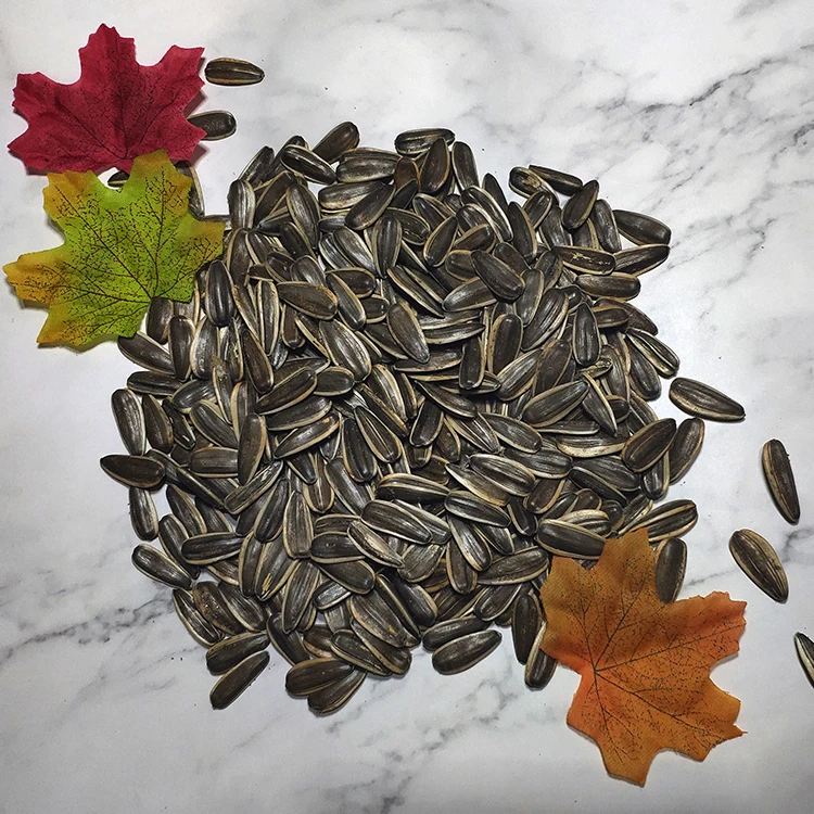Sunflower Seeds For Planting Chinese Sunflower Seed Kernel