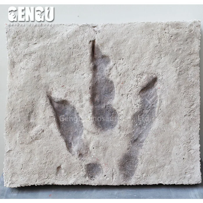 Playground dinosaur footprint fossils