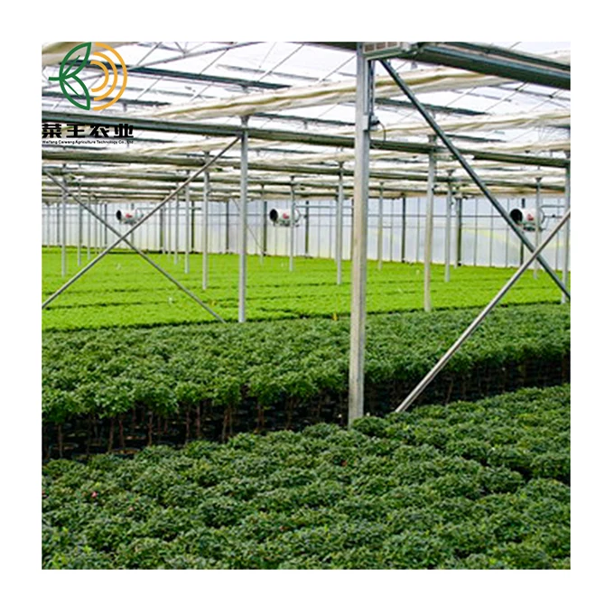 
manufacturer agricultural PC greenhouse multi span Tunnel greenhouses 