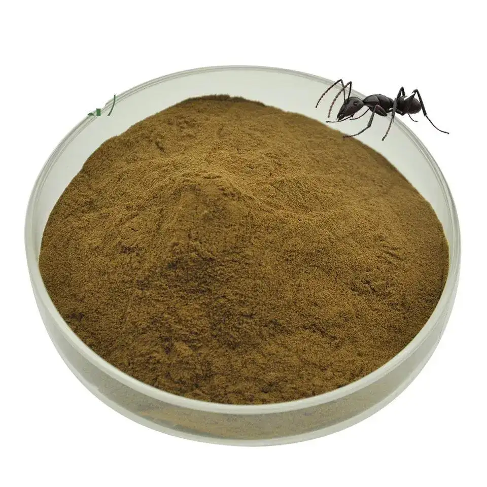 Food Grade Black Polyrachis Ants King Extract Solvent Extracted Herbal Ant Powder in Drum Packaging for Health Foods