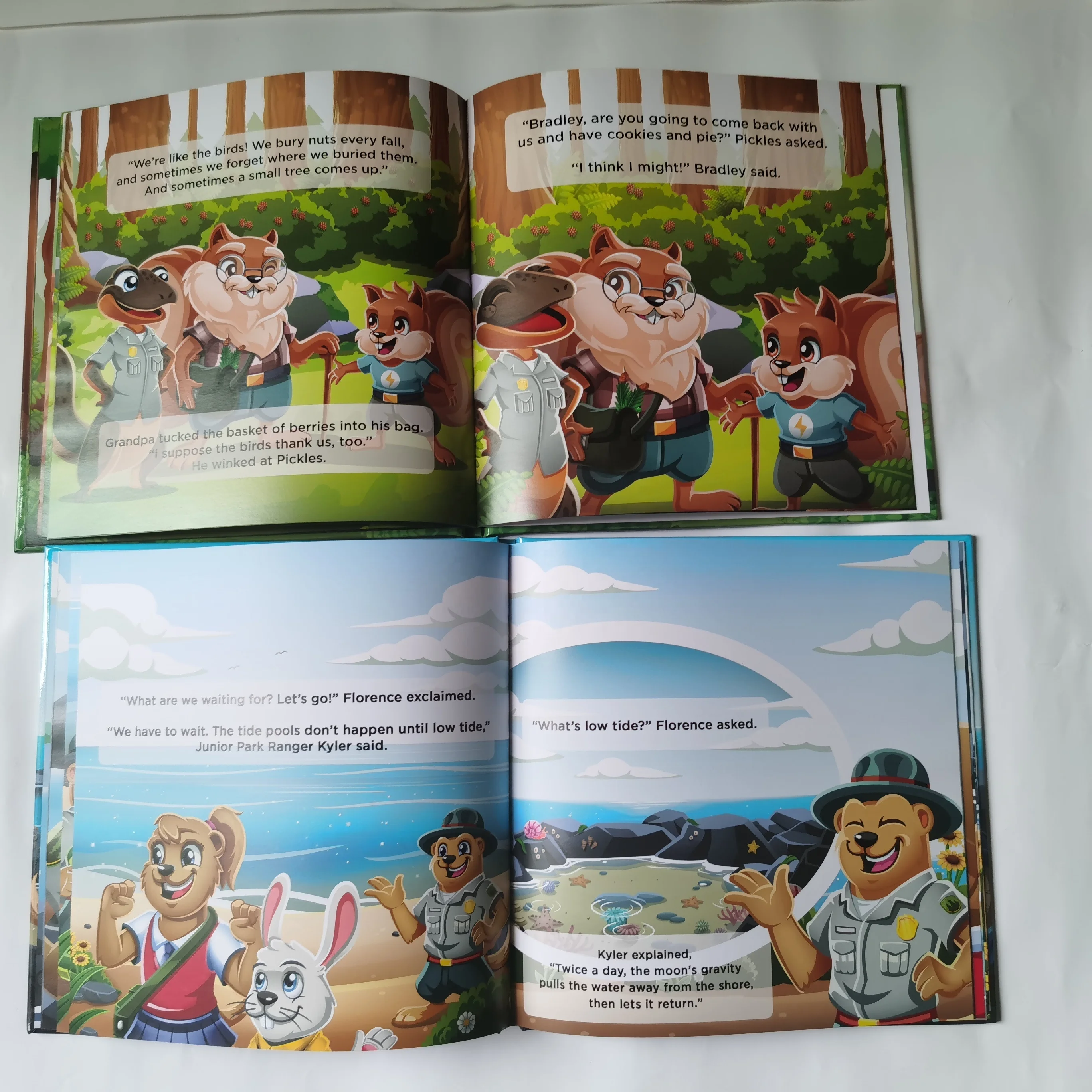 China book printing factory, offset print for indie authors and self-published writers