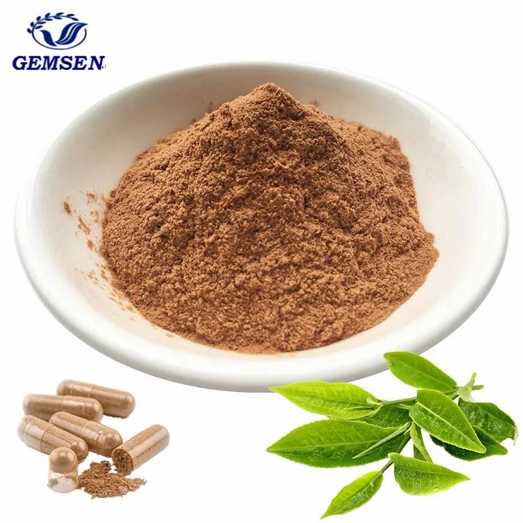 Natural Polyphenol 95% 98% , EGCG 45% 90% 95% , Cafeine , Catechin , Green Tea Extract Powder