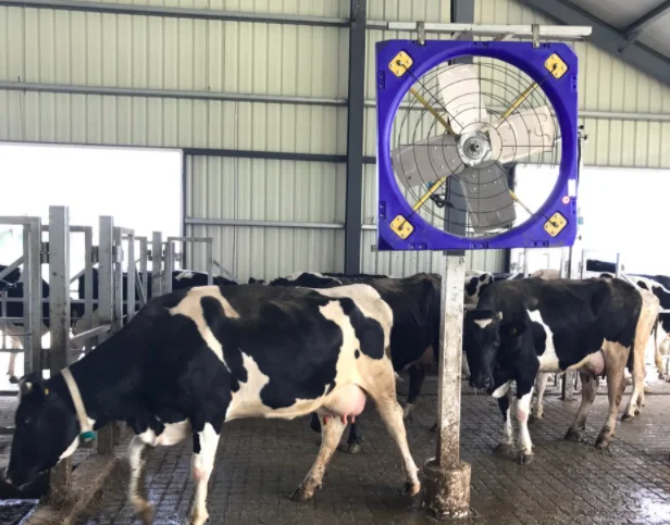 Quality Assurance Big Herdsman Cow House Fan Cattle Farm Cooling Fan PE Hanging Fan With Spray