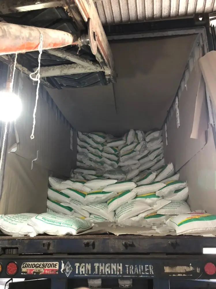 JASMINE RICE 100% PURITY FOR AFRICA MARKET - Whatsapp +84765149122