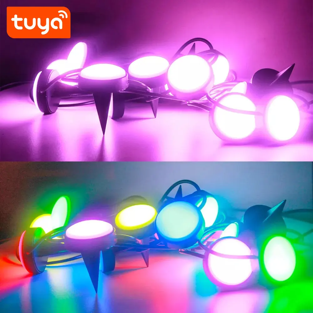 Модный Tuya Smart наружный WiFi роутер для центра сада и RGB-IC со светодиодной подсветкой поддержка пульт дистанционного