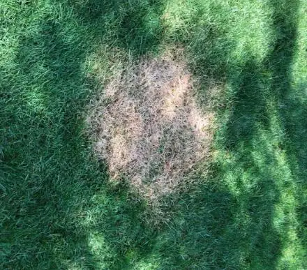 
30' Fire Pit Bowl Heat Reflection Mat 