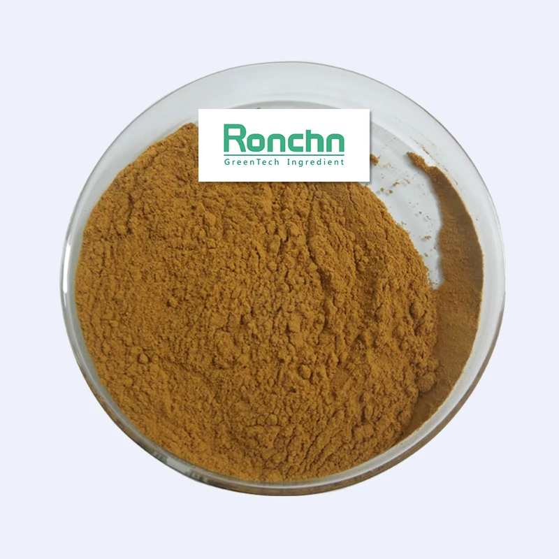 Pure Organic  Rhodiola Rosea Extract Salidroside  98% Extract High Quality with Fast Delivery
