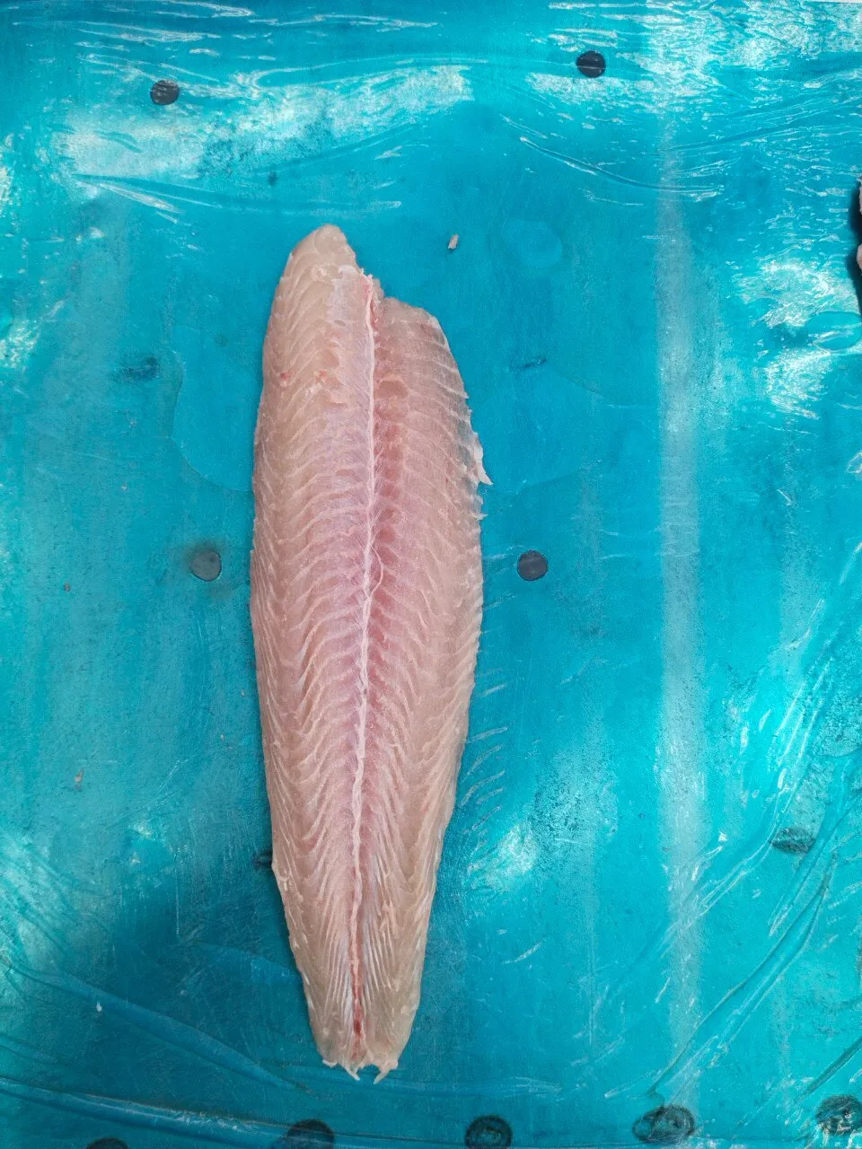 Fresh and Nutritious Untreated Pangasius fillet, well-trimmed, Chemical Free