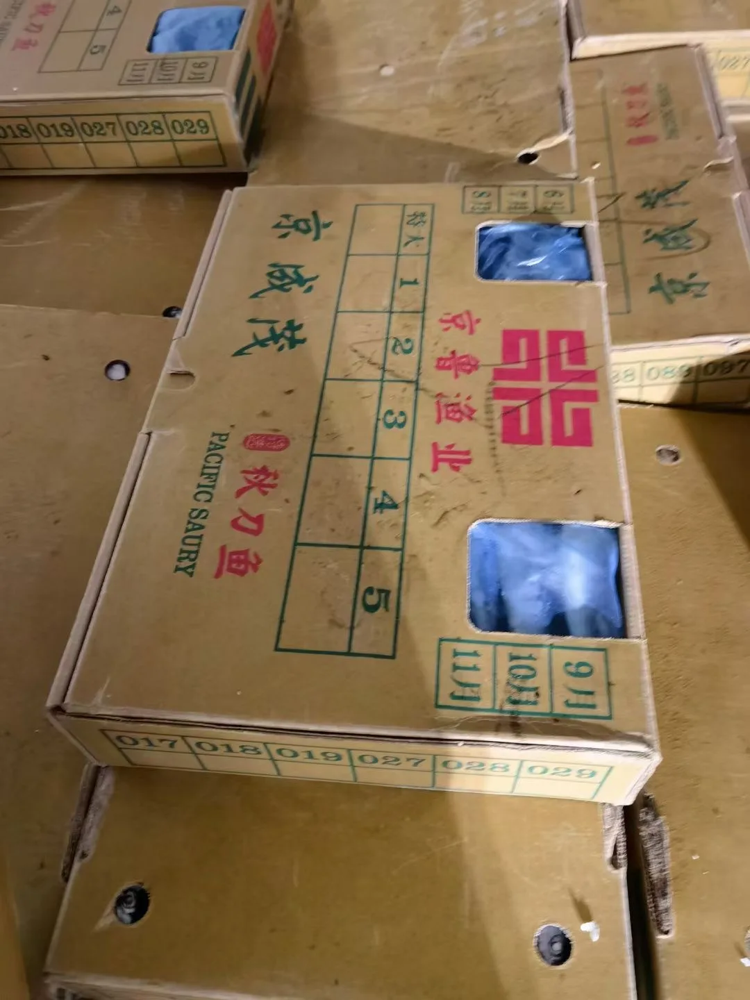 Frozen Seafood Pacific Saury Whole Round 80 G ~ 100 G Big Size W/r Seafrozen Cololabis Saira Sanma Fish BQF Bulk Freezing