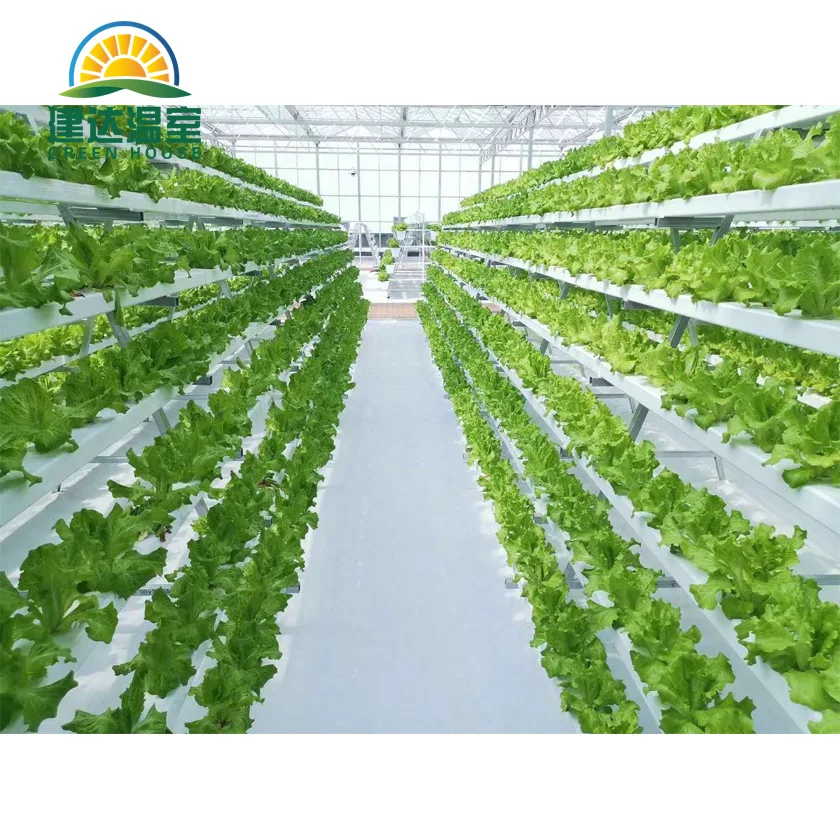 multi-span class Greenhouse restaurant green house frame with Heating and insulation system