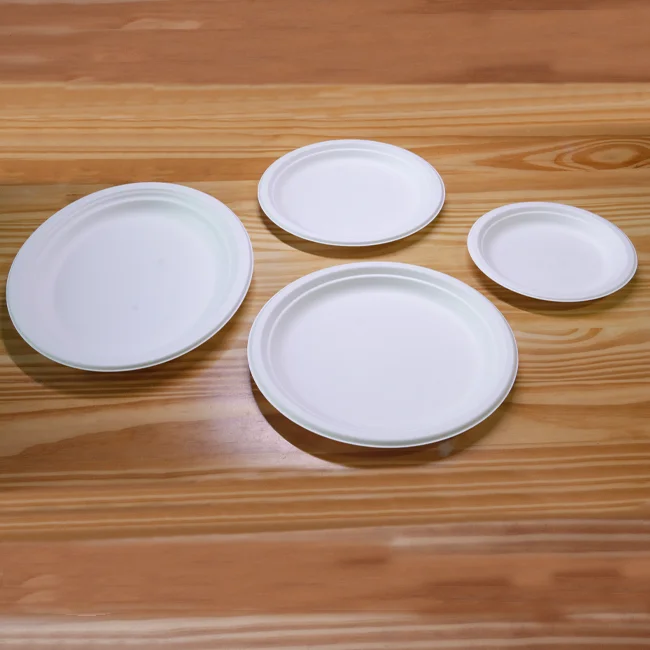 Compostable Bagasse Disposable Dishes Food Grade Sugarcane Party Disposable Dish Sugarcane Pulp 10 Inch Dish
