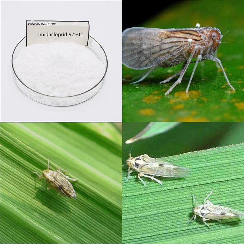 
imidacloprid 10% wp 98%TC in controling Thrip Aphid 